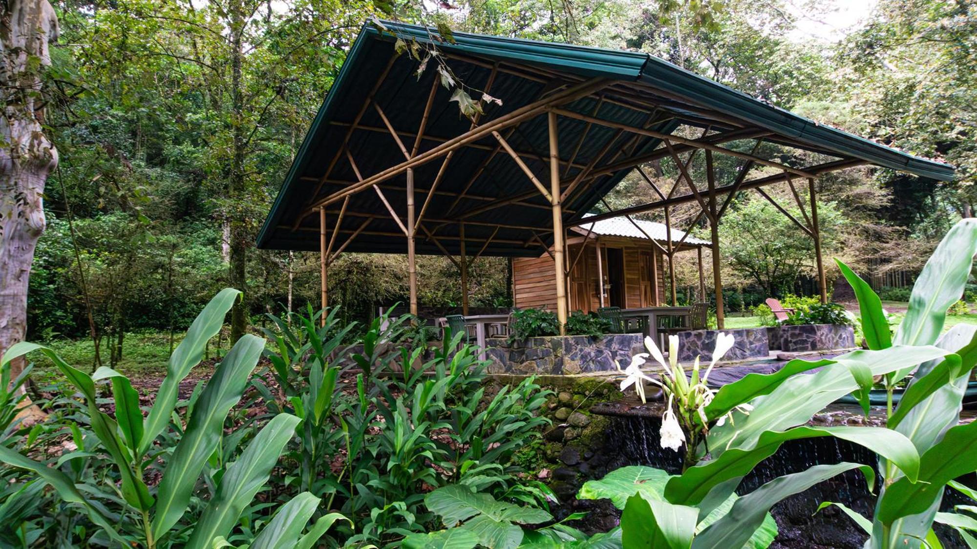 Boscana Forest Resort & Residence Coscomatepec de Bravo Exteriör bild